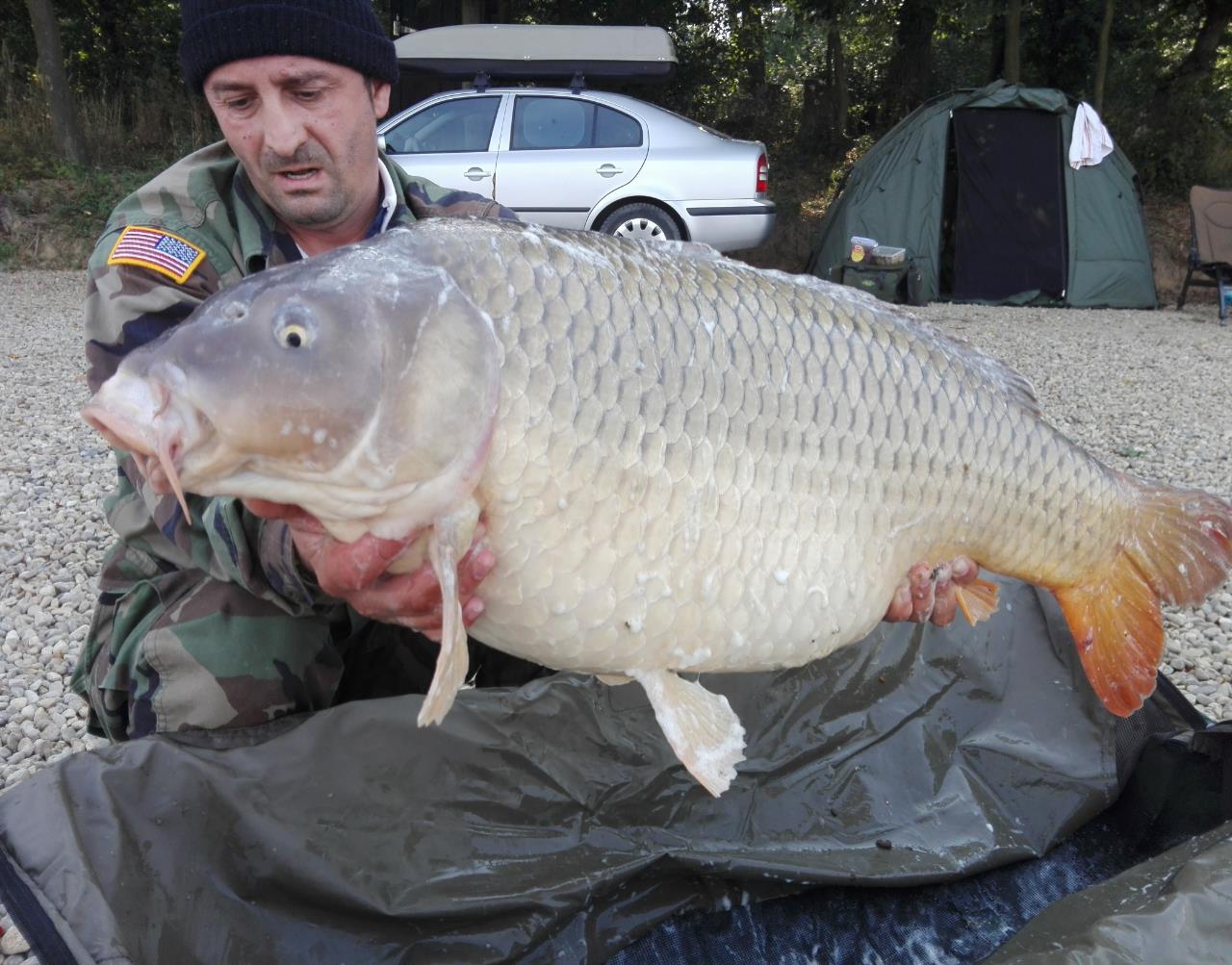 1-5 Octombrie Cetariu - img1475398136370.jpg